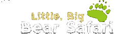 Little, Big Bear Safari